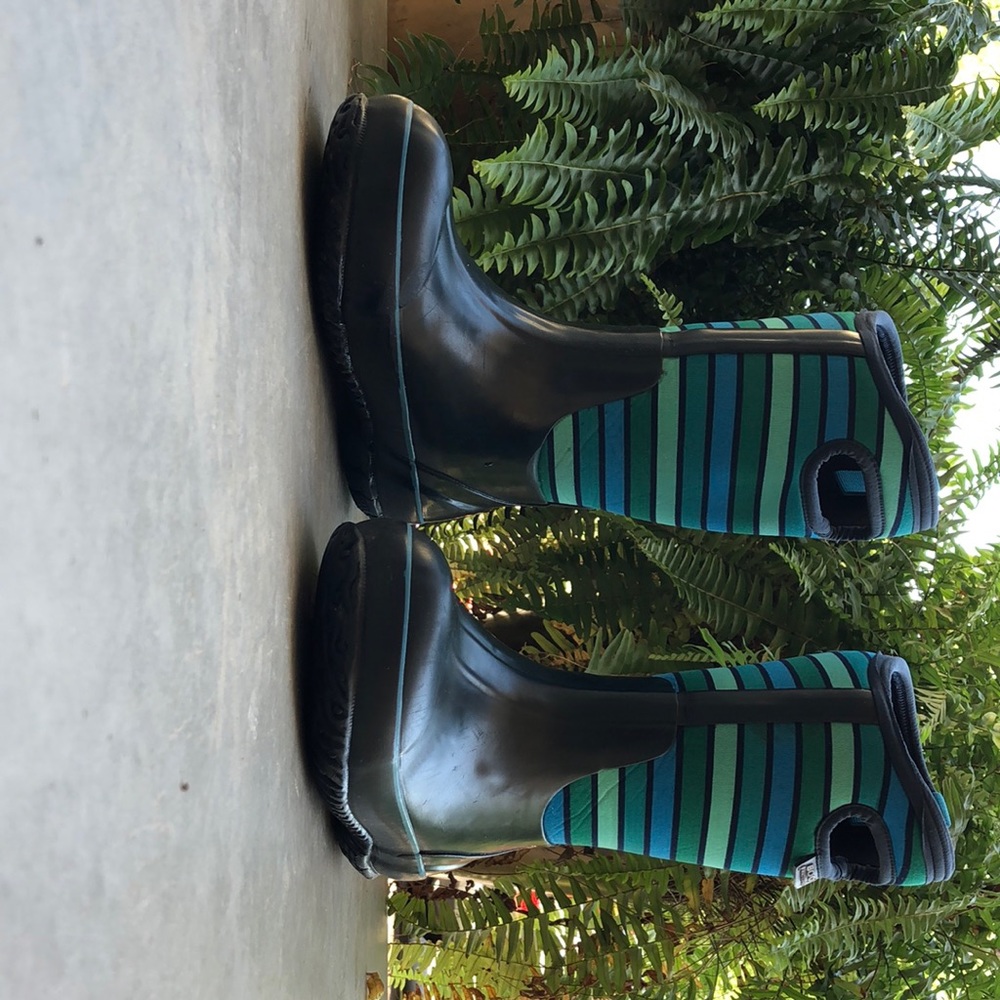 Bogs!